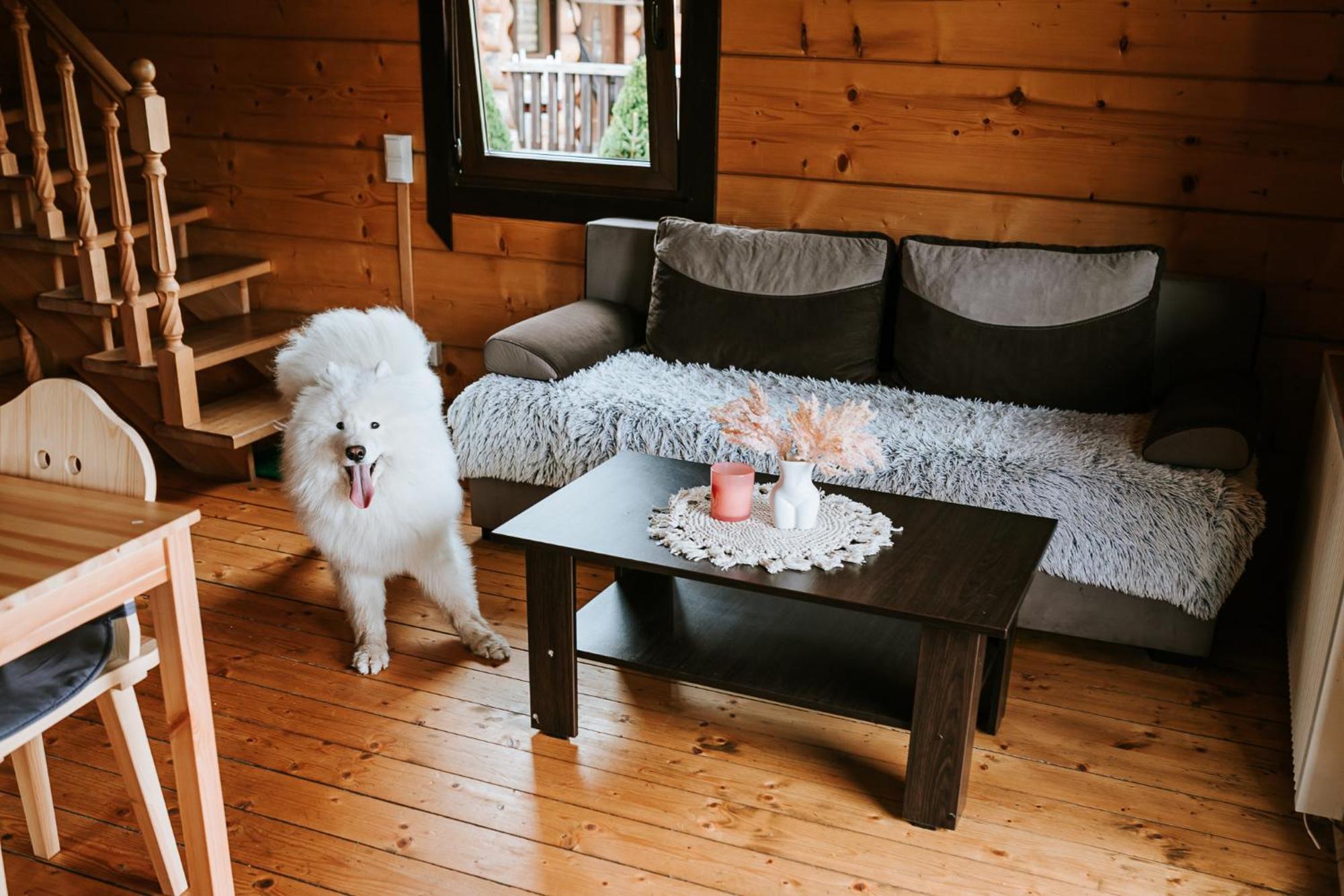 Domki,,Chatki Goralskie " Rabka Kültér fotó