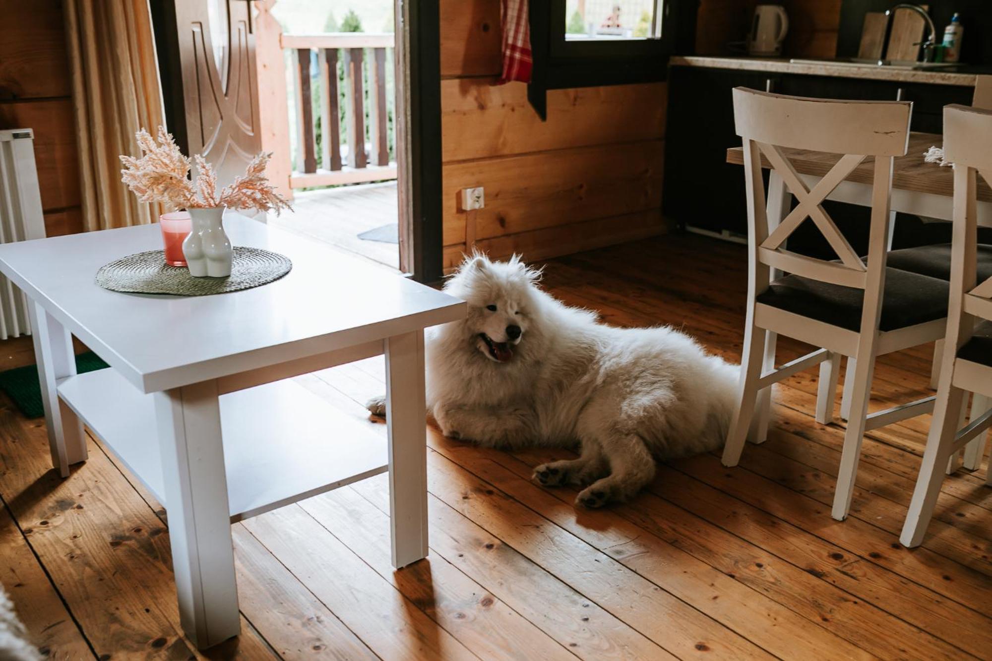 Domki,,Chatki Goralskie " Rabka Kültér fotó